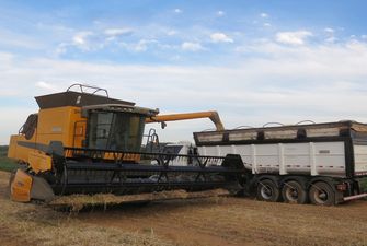 У Мінекономіки не погіршуватимуть прогноз врожаю зернових в Україні