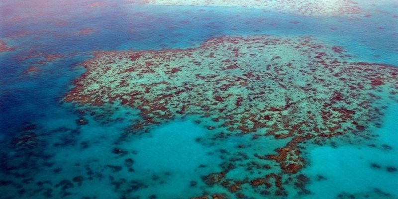 Большой Барьерный риф оказался в опасности из-за климатических изменений