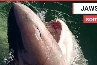 Женщина поймала на удочку пятиметровую акулу весом более полутонны