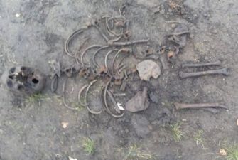Под школой в Борисполе обнаружили скелеты
