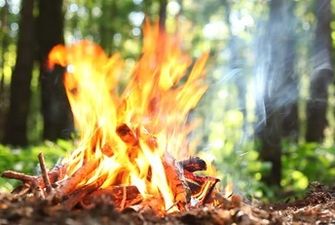 Сезон уже начался: как правильно разжигать огонь на природе