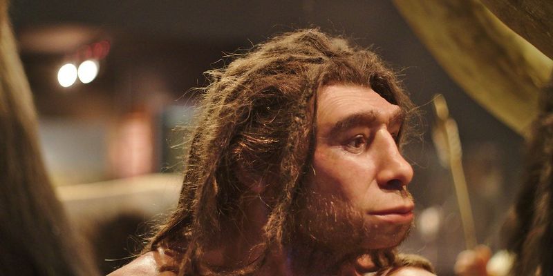 Причиной смерти неандертальцев могла стать одежда