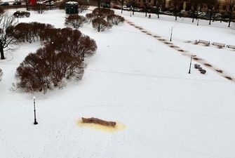 В РФ задержали создателя огромной фекалии из снега