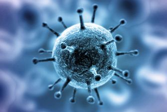 Риск попадания коронавируса на территорию Украины очень высокий – медик