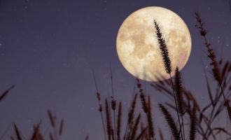 Нисходящая Луна несет много изменений: чего ожидать с 25 апреля по 7 мая