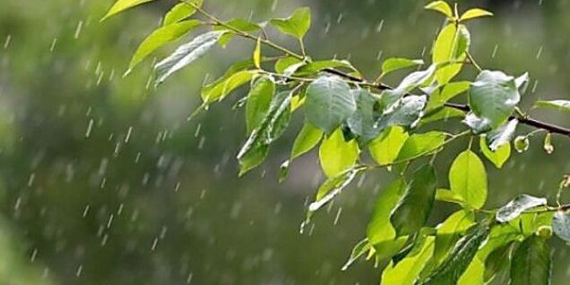 Накроют дожди с грозами: синоптик предупредила об изменении погоды в Украине