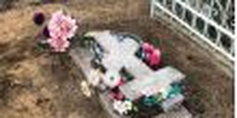 На Николаевщине две школьницы напились и разгромили надгробия на кладбище