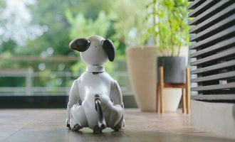 Sony ищет новые семьи для устаревших роботов-собак Aibo