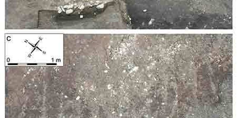 В Швейцарии нашли самые древние следы плуга в Европе: фото