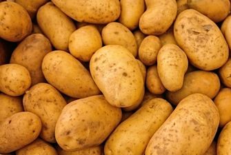 Украинцев ждет рекордно раннее начало сезона молодой картошки