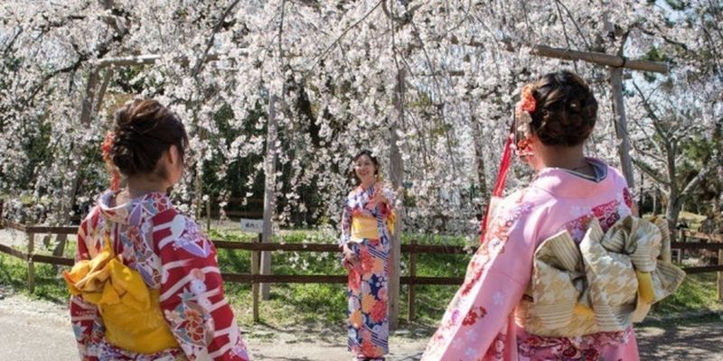 В Японии рекордно рано зацвела сакура