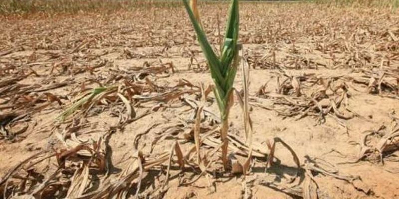 Глава Міненерго: Україні загрожує літня посуха