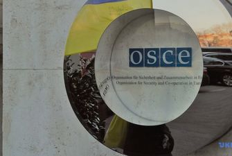 Украина и ОБСЕ особое внимание уделяют экологии в районе проведения ООС