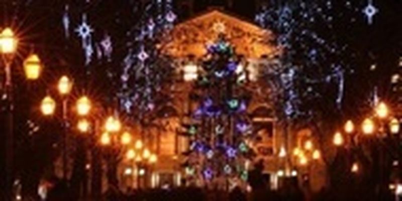 Во Львове установят новогоднюю елку - мэр