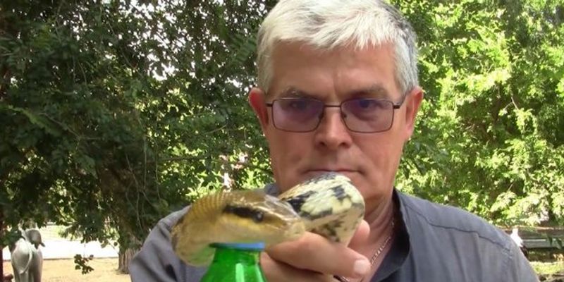 Змея присоединилась к популярному челленджу и открыла бутылку