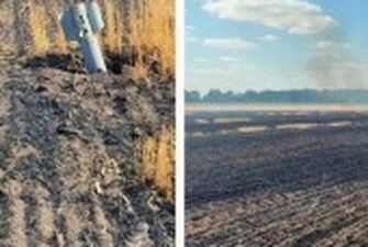 На Дніпропетровщині окупанти пошкодили склади з трьома тонами зерна, просом та соняшником - облрада