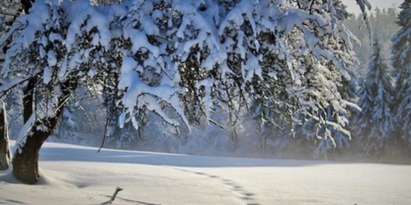 Слой снега перевалил за 2 метра и растет: прогноз погоды на курортах в Карпатах