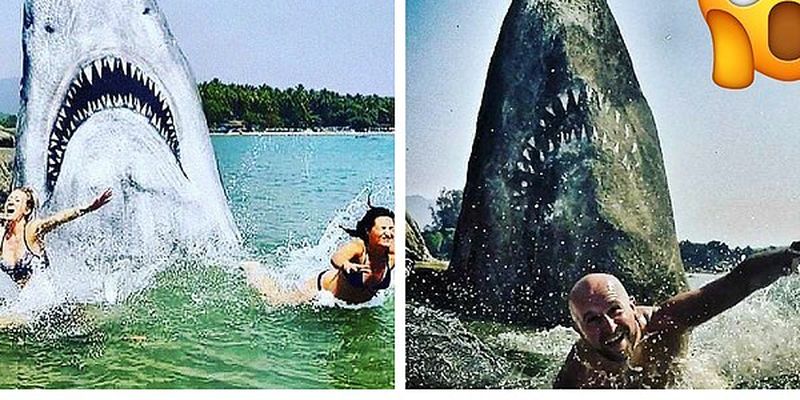 Художник превратил гигантский пляжный камень в большую белую акулу. Он сразу стал местной достопримечательностью