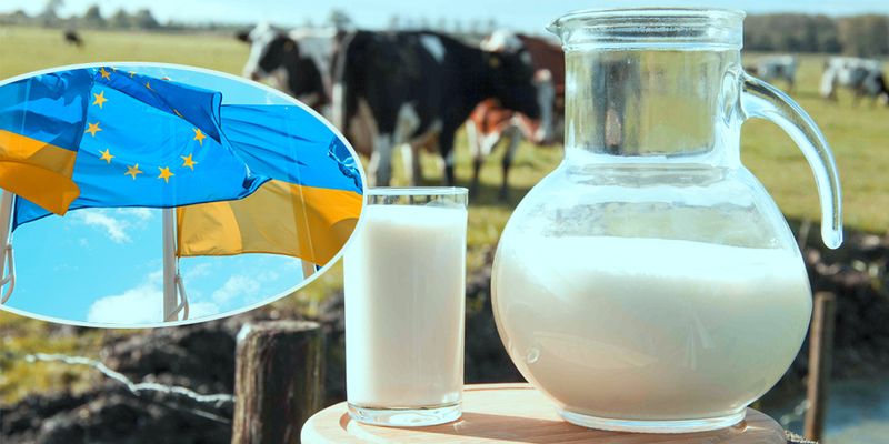 Спасение молочной отрасли: эксперт объяснил, почему это важно для Украины