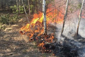 В большинстве областей Украины сохраняется чрезвычайная пожарная опасность