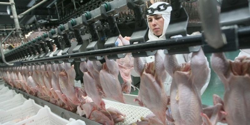 Рада ратифікувала збільшення безмитних квот на експорт м‘яса птиці в ЄС
