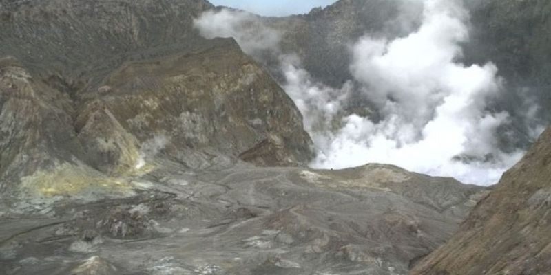 Новая Зеландия заказала из США кожу для пересадки пострадавшим от извержения вулкана