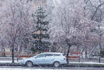 Квітневий сніг засипав частину України: відео
