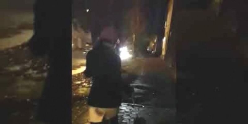 Женщина бродила по улицам Мелитополя с истощенной собакой на поводке: зоозащитники обратились в полицию