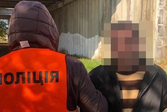 На Троещине в Киеве два иностранца обокрали женщину с коляской