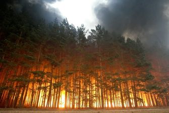 В городе не видно солнца: появились жуткие фото лесных пожаров в России