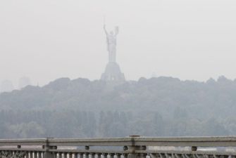 Киевлян предупреждают о возможном задымлении из-за пожаров в области