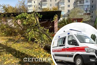 В Кременчуге дерево придавило детей и воспитательницу: новые подробности трагедии
