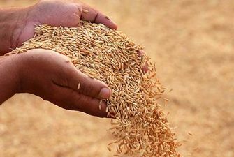 МИД РФ выдвинул условия для продления зернового соглашения