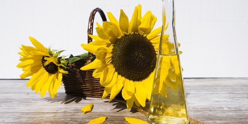 ВАР закликає уряд не ухвалювати рішення щодо квотування експорту насіння соняшнику та олії