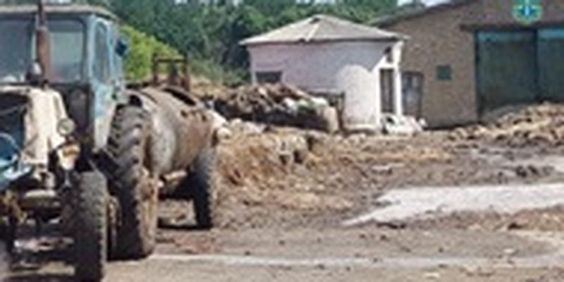 Укрветсанзавод загрязнил тушами животных более 1,3 га земель
