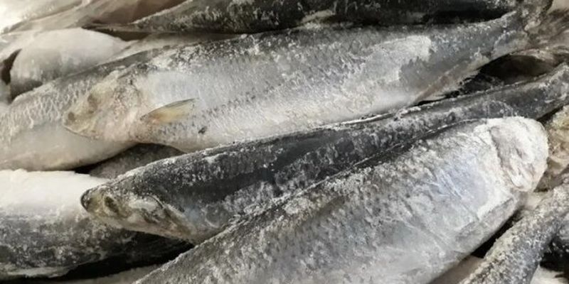 Риба та морепродукти не лишають шансів українцям: чи варто закуплятися