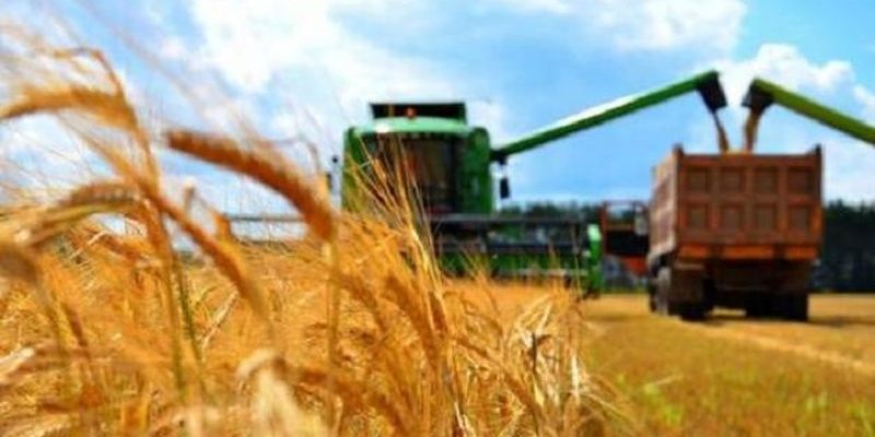Минэкономики подписало с участниками зернового рынка меморандум о согласовании позиций