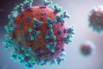 Это не кончится никогда: в Китае обнаружили 24 новых вида коронавируса
