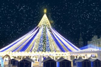 Несмотря на отключения света: в Киеве хотят поставить новогоднюю елку с тысячами огней