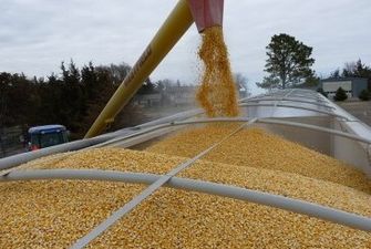 В Україні вже зібрали 30 млн тонн зернових