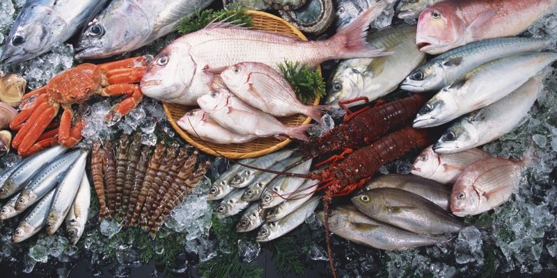 Врач: для эффективного избавления от лишнего веса, стоит включать в рацион морепродукты и рыбу