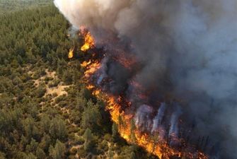 Лесные пожары в РФ: в одном из регионов огонь охватил 12 тысяч гектаров