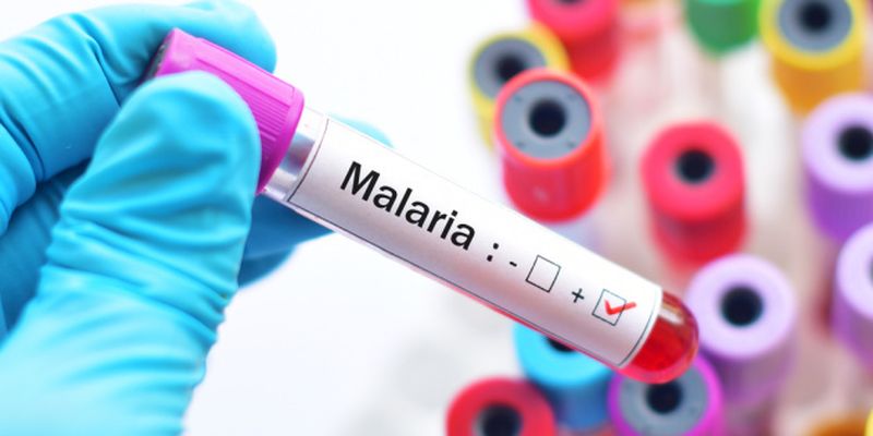 В Харькове после поездки в Танзанию от малярии умерла женщина