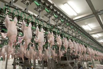 Україна продаватиме м'ясо птиці до Японії