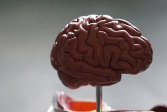 В мозку знайшли рецептори поганого настрою
