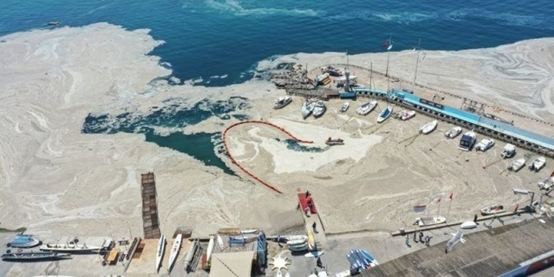 Турция взялась спасать Мраморное море от опасной слизи