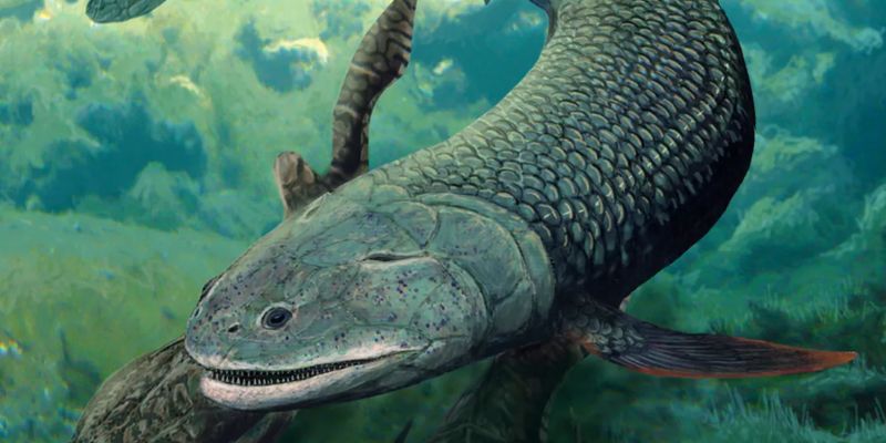 Могла дышать воздухом? Ученые нашли рыбу с ноздрями, жившую 380 млн лет назад