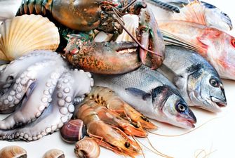 Врач рассказала о смертельной опасности морской рыбы и морепродуктов