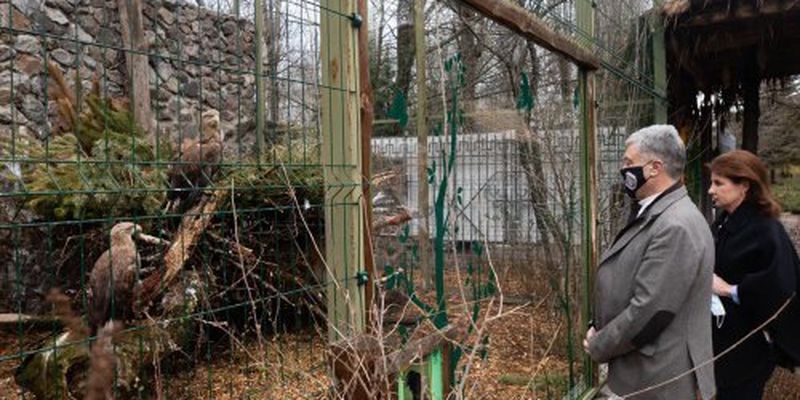 У Черкасах за підтримки Roshen будують зоопарк. Бюджет проекту більше 300 млн грн