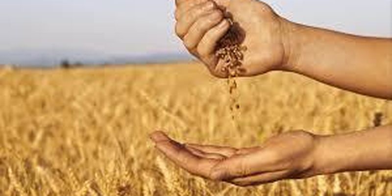 путин будет поднимать ставки по "зерновой сделке". Для Кремля еда – это будущие энергоносители